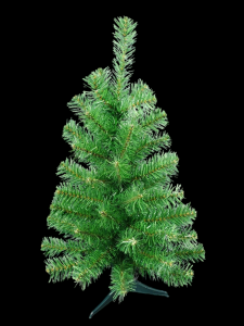 2' Oregon Pine Tree