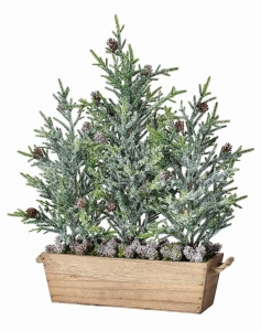 20'' Frosted Mini Fir Trees in Wooden Planter