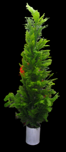8' Potted Fir Pine Tree
Comes in Two Pieces for Easy Storage