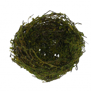 Bird Nest Made of Mossy Twigs 4'' 