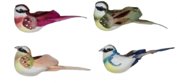 Birds Assorted Colors S/12 4'' 