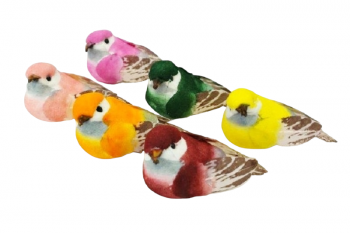 Birds Assorted Colors S/12 2.5'' 