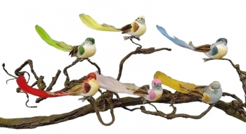 Birds Assorted Colors with Clip S/12 5'' 