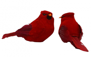Birds Mushroom Cardinals S/8 6''