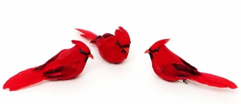 Birds Feathered Cardinals with Clip S/12
4.5'' 