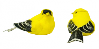 Birds Mushroom Gold Finch S/12 3'' 