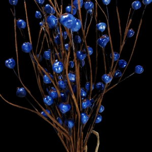 Blue Berry Bundle x 6 13''