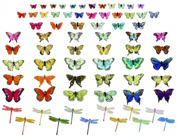 Butterflies with Wires Assorted Colors S/144
Large Assortment of Multiple Sized Butterflies and 3'' Dragonflies