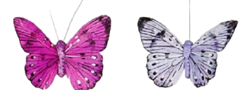 Fuchsia/Purple Assorted Color Butterflies with Wires S/12 3.5'' 