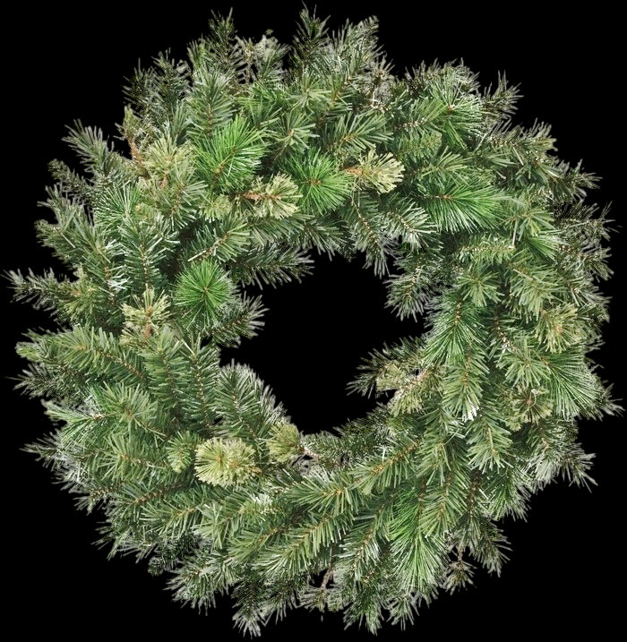 Cashmere Hard Needle Wreath 24"