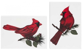 Cardinal Art S/2