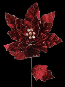 Cranberry Glitter Edge Velvet Poinsettia Stem 24", 12" Bloom