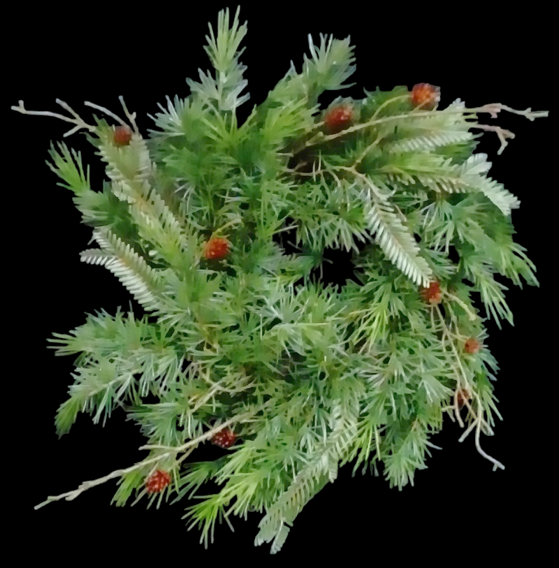 Deluxe Mixed Pine Wreath 19" 