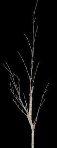 Faux Snowy Birch Branch 48''