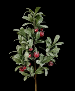 Frosted Mistletoe Leaf Spray with Red Berries 21'' 