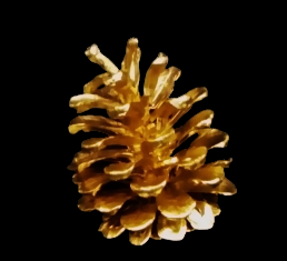 Gold Small Pine Cones S/100