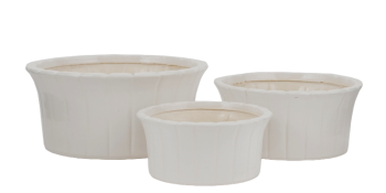 White Gomez Ceramic Dish Garden S/3 