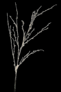 Iced Snowy Branch 40'' 