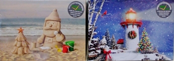 LED Lit Sandy Santa & Snowy Light House Pictures with Timers S/2
