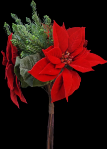 Large Red Poinsettia Bouquet x 6
24", 10" Blooms