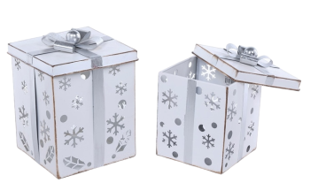 Metal White/Silver Gift Box Luminary S/2
