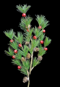 Ming Pine Spray with Red Bells and Cones 30"