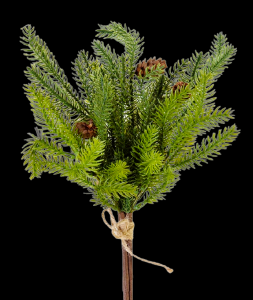 Mountain Pine Bundle with Pine Cones
17"
