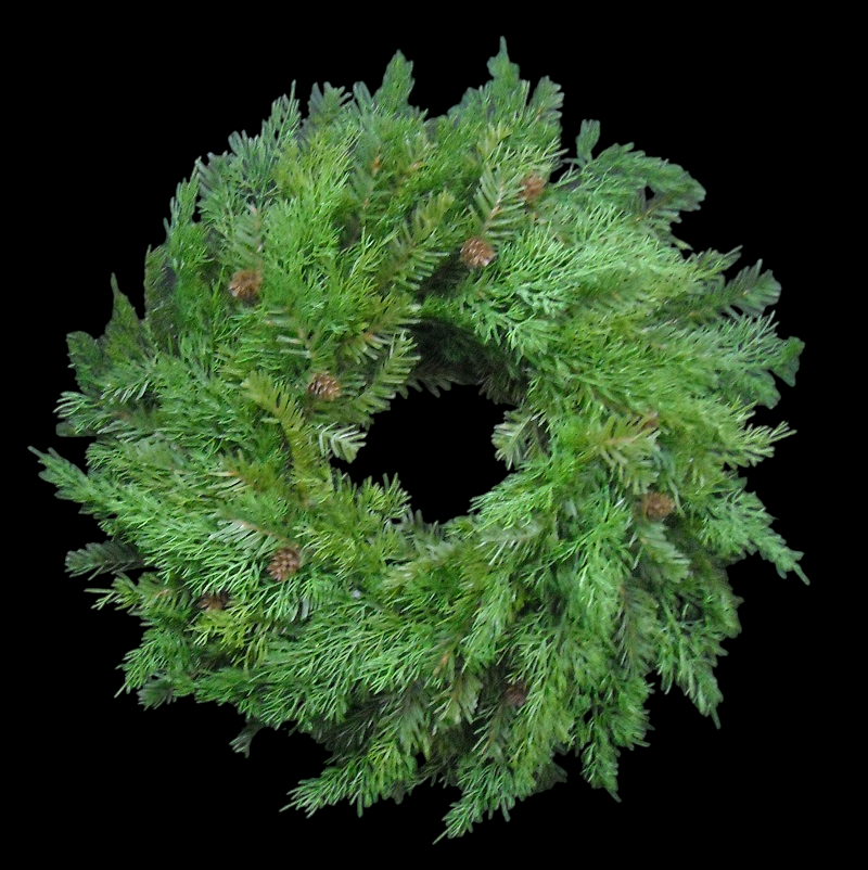 Natural Forest Cedar/Pine Wreath 24" 