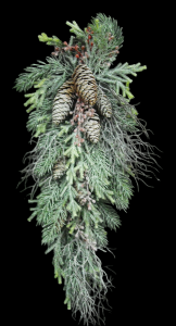 Pine Bough with Pine Cones, Twigs and Berries 24"