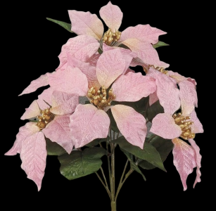 Pink Poinsettia x 7
17", 6" Blooms