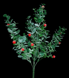 Red Berry Eucalyptus Spray x 5 14''
