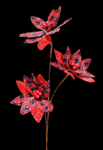 Red/Black Poinsettia Spray x 3
20", 6" Blooms