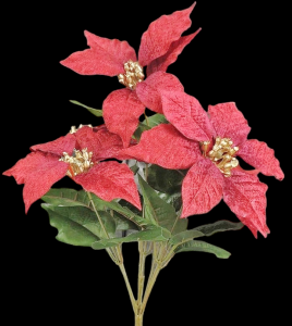 Red/Burgundy Poinsettia x 7
17", 6" Blooms