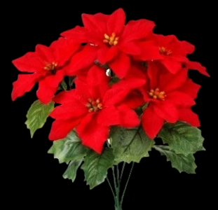 Weatherproof Red Mini Poinsettia x 5
12", 5" Blooms
