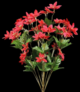 Red Mini Poinsettia x 10
16", 2.5" Blooms