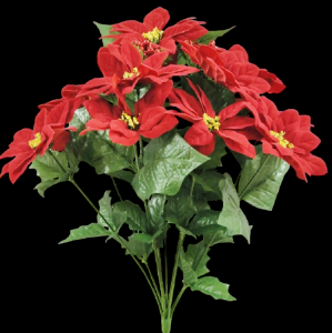 Red Velvet Poinsettia x 12
20", 5" Blooms
