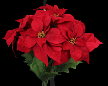 Weather Resistant Red Poinsettia x 5
16", 10" Blooms