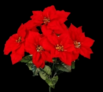 Weatherproof Red Poinsettia x 5
20", 7"- 8" Blooms
