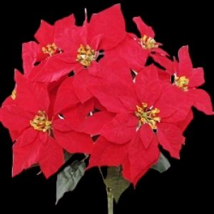 Weatherproof Red Poinsettia x 7
20", 11" Blooms