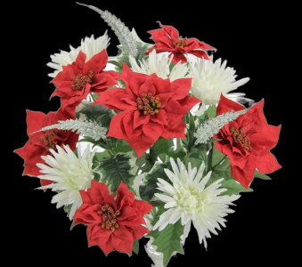 Red/White Mixed Poinsettia Mum Filler Bush 19'' 