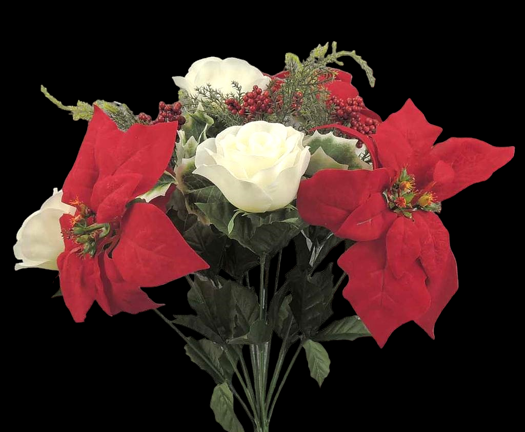 Red/White Mixed Rose Poinsettia Holly Bush x 12 12''