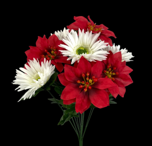 Red/White  Mixed Poinsettia Gerbera Bush x 12 19''