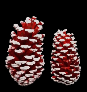 Red and White Tipped Pine Cones 2 Sizes 