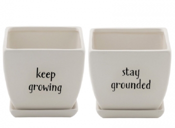 Square Planters with Saucers S/2 4.75''