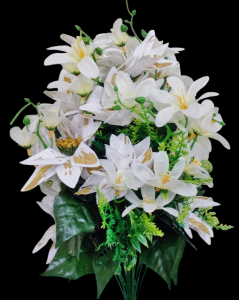 White/Gold Mixed Poinsettia Lily x 24
20", 5" Blooms