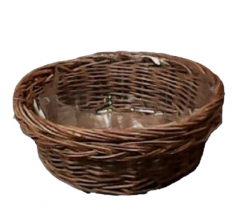 Willow Dish Garden with liner 10''