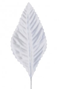 White Silk Corsage Leaves S/100 
Medium 
