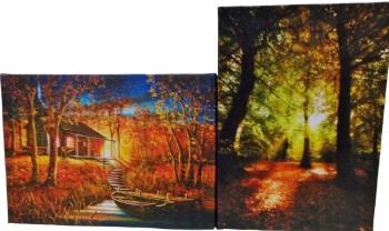 LED Lit Peaceful Pier & Fall Forest Pictures with Timers S/2
Battery Operated