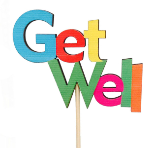 Wooden Cutout Get Well Stick In Pick S/12  20" 
