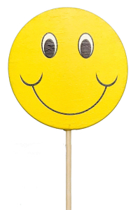 Wooden Smiley Face Stick In Pick S/12
20" 